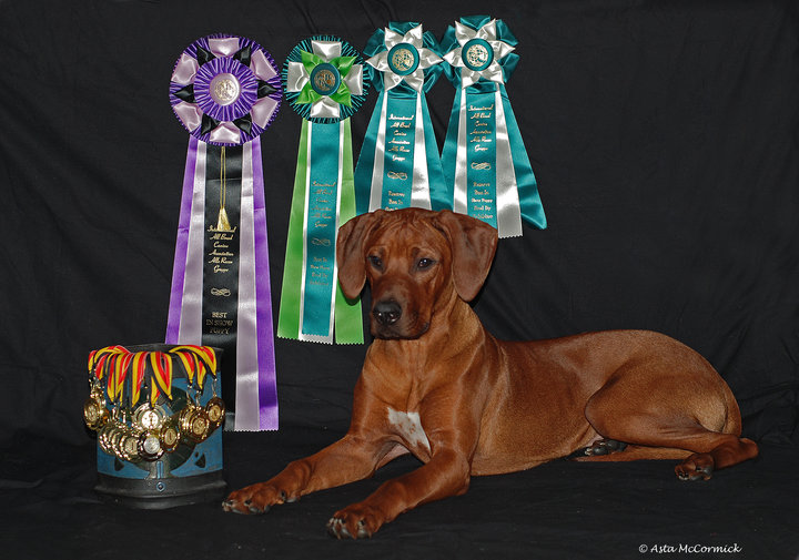 George and his ribbons