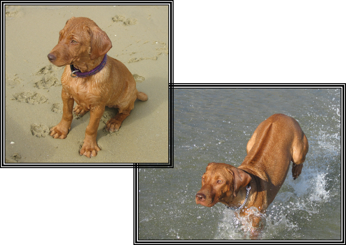 Beach baby