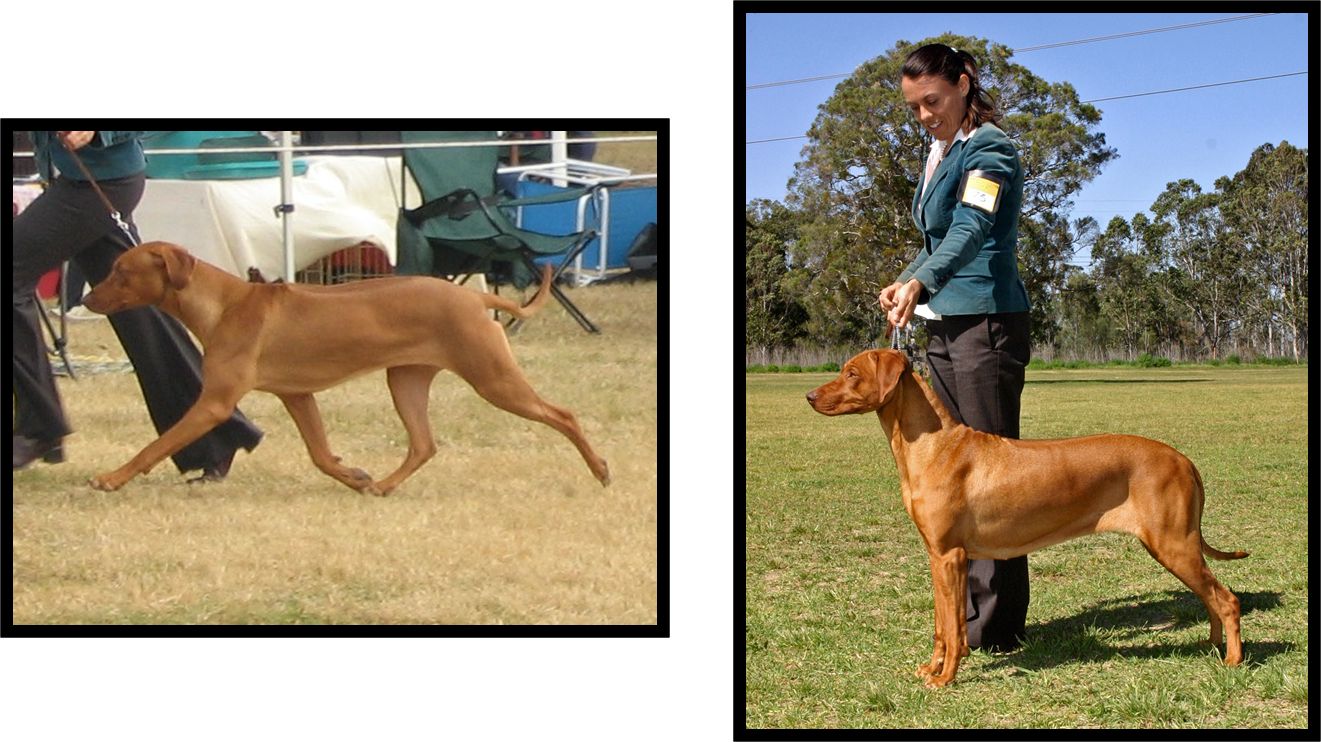 Mum and I in the Show Ring